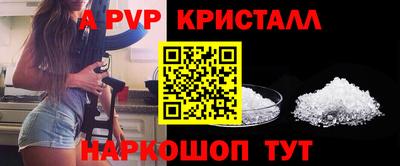 мдпв Гай